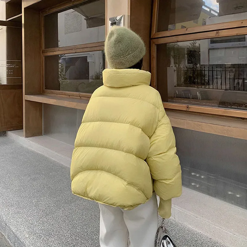 ニットスリーブ レディース ダウンジャケット 2025 冬 新作 スレッドスリーブ スタンドカラー 暖かい ホワイトダックダウン ショート丈 レディース ダウンジャケット H538
