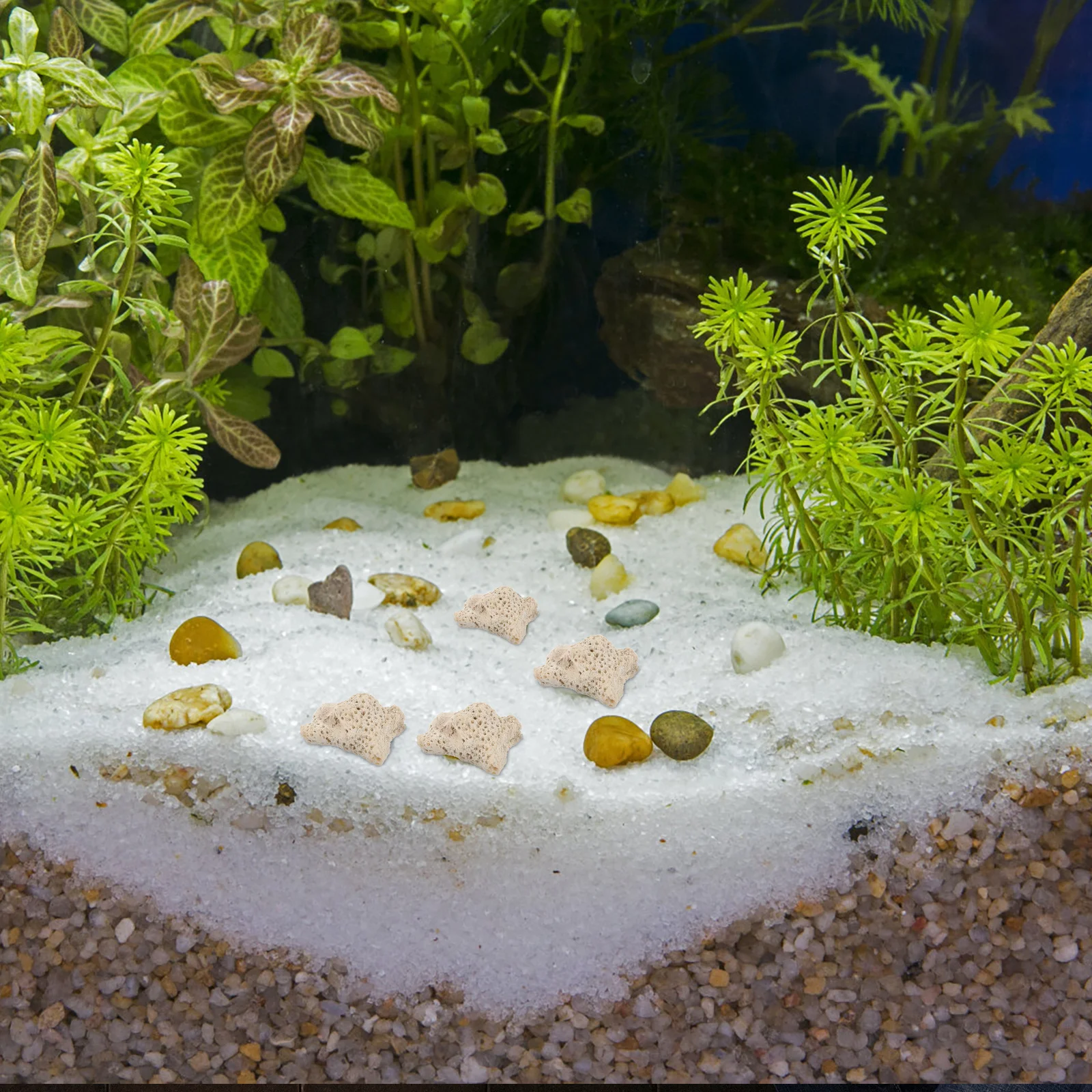 1 حقيبة سحق المرجان لمرشح حوض السمك وسائل الإعلام خزان الأسماك الديكور بركة تخطيط المرجان الحصى مرشح تنقية المياه الطبيعية