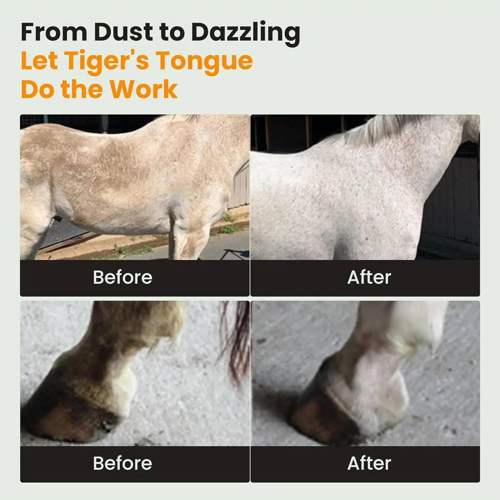 Livestock Brush Grooming Sponge For Livestock Equine Scrubber Brush For Outdoor Outing Competition Horse Pet Equine Cattle