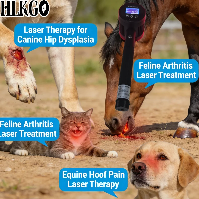 

Новый усовершенствованный ветеринарный лазер 2026 года, 1295 мВт, 19x650 нм + 6x808 нм для лечения разрывов крестообразного связки у собак, ран у кошек, синдрома навикального синдрома у лошадей