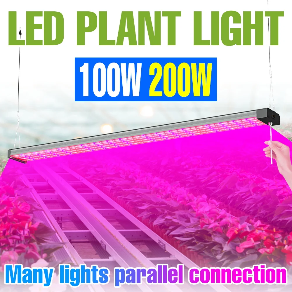 

200W LED Plant Grow Light Full Spectrum Quantum Board Hydroponic Fill Lamp Greenhouse Tent Vegs Seedings Cultivation Lighting