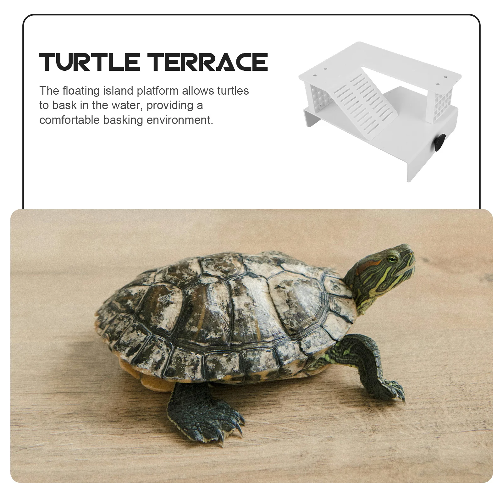 

Turtle Basking Platform Design for Reptile Habitat Sunbathing Area Aquarium Landscape Decoration Turtle Tank