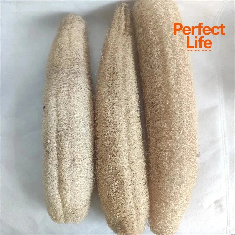Naturalna gąbka luffa 1/2 szt. Szczotka do peelingu ciała, narzędzie do kąpieli spa, wielofunkcyjny czyścik do łazienki, kuchni, do codziennej czystości. — zdjęcie 7