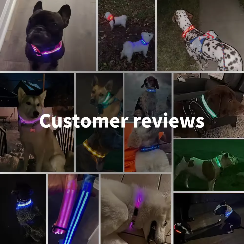 Collare per cani incandescente a LED Ricarica lampeggiante regolabile Collare luminoso notturno Imbracatura per cani anti-smarrimentoPer prodotti per animali domestici per cani di piccola taglia_voghion.com