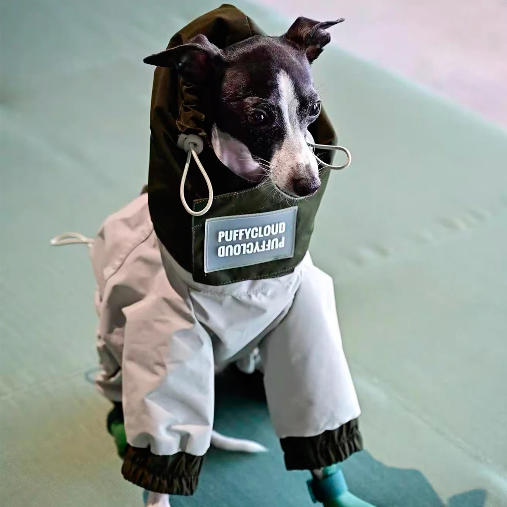 Winddicht jack voor Italië Greyhound Winterfluweel Waterafstotend Warme regenjas 4-poots sweatshirt voor Bedlington Terrier