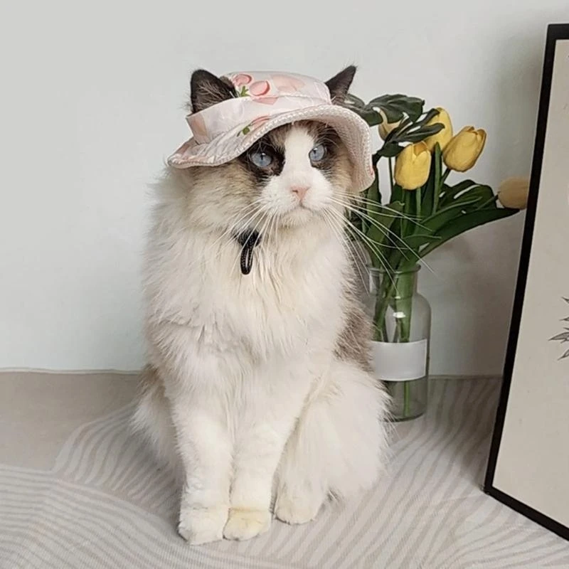 

Puppy Bucket Hat Dog Sunbonnet Hat Devil Hat Summer Hat Outdoor Wear