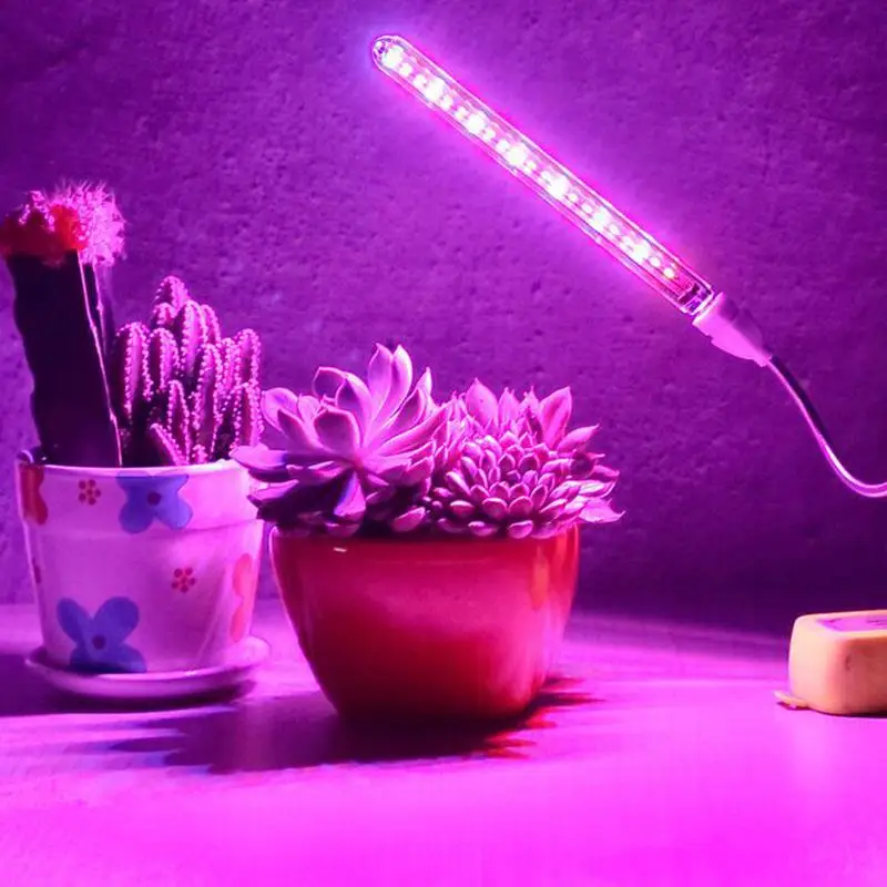 Luz Led para cultivo de plantas y flores, lámpara Phyto USB de 5V de CC, soporte de escritorio Flexible para suculentas en macetas, rojo y azul, B4,