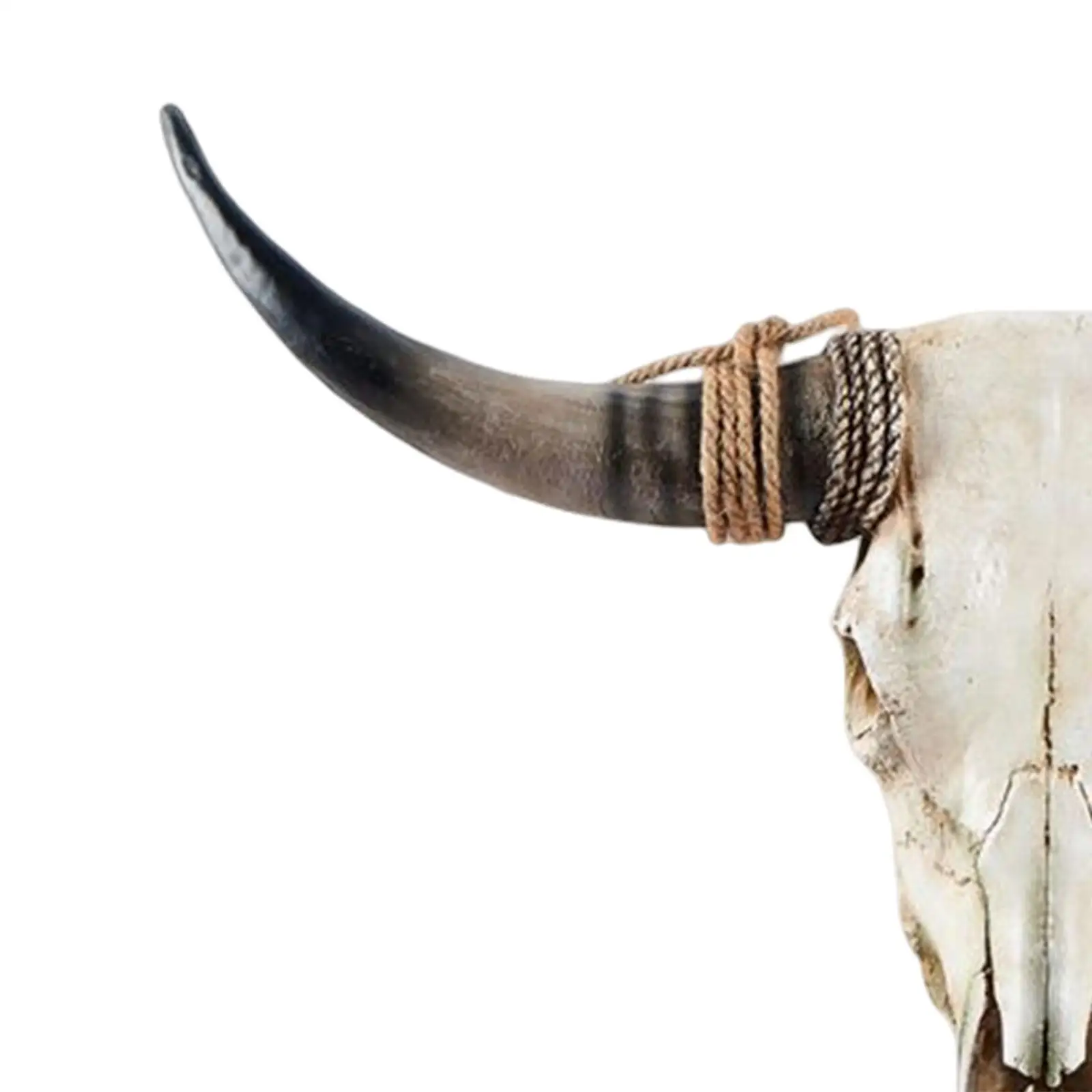 

Animals Heads Wall Decor Cabinet Bedroom Longhorn Cow Skull Wall Sculpture