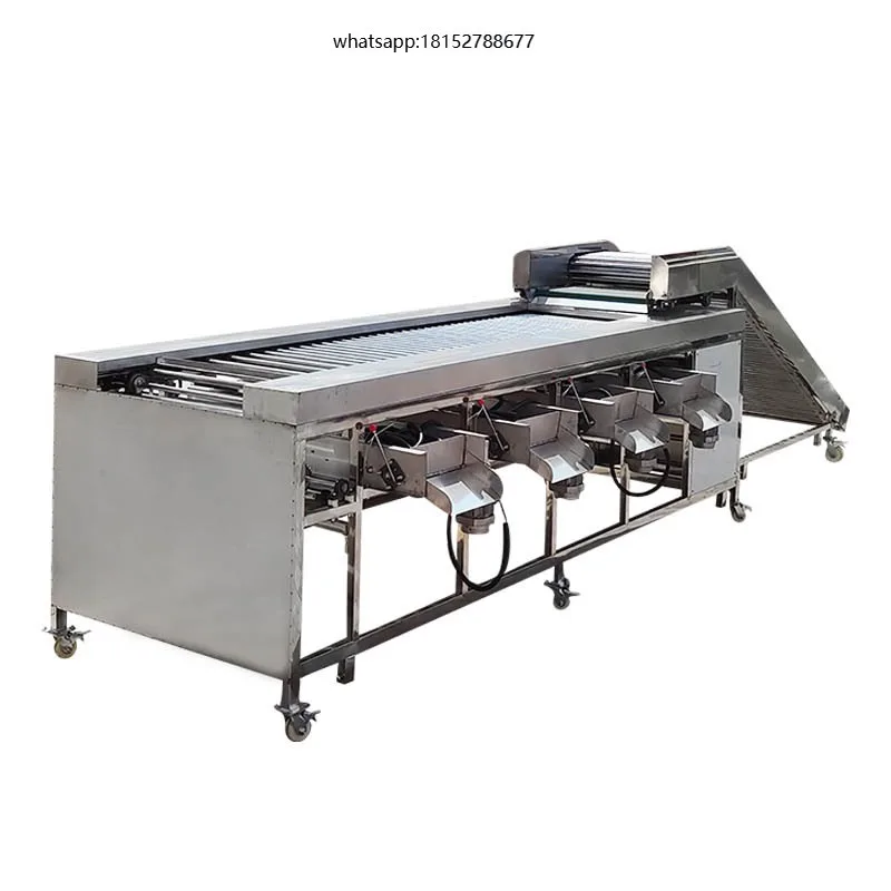 Industrial Electric Stainless Steel Fruit Sorting Grading Machine