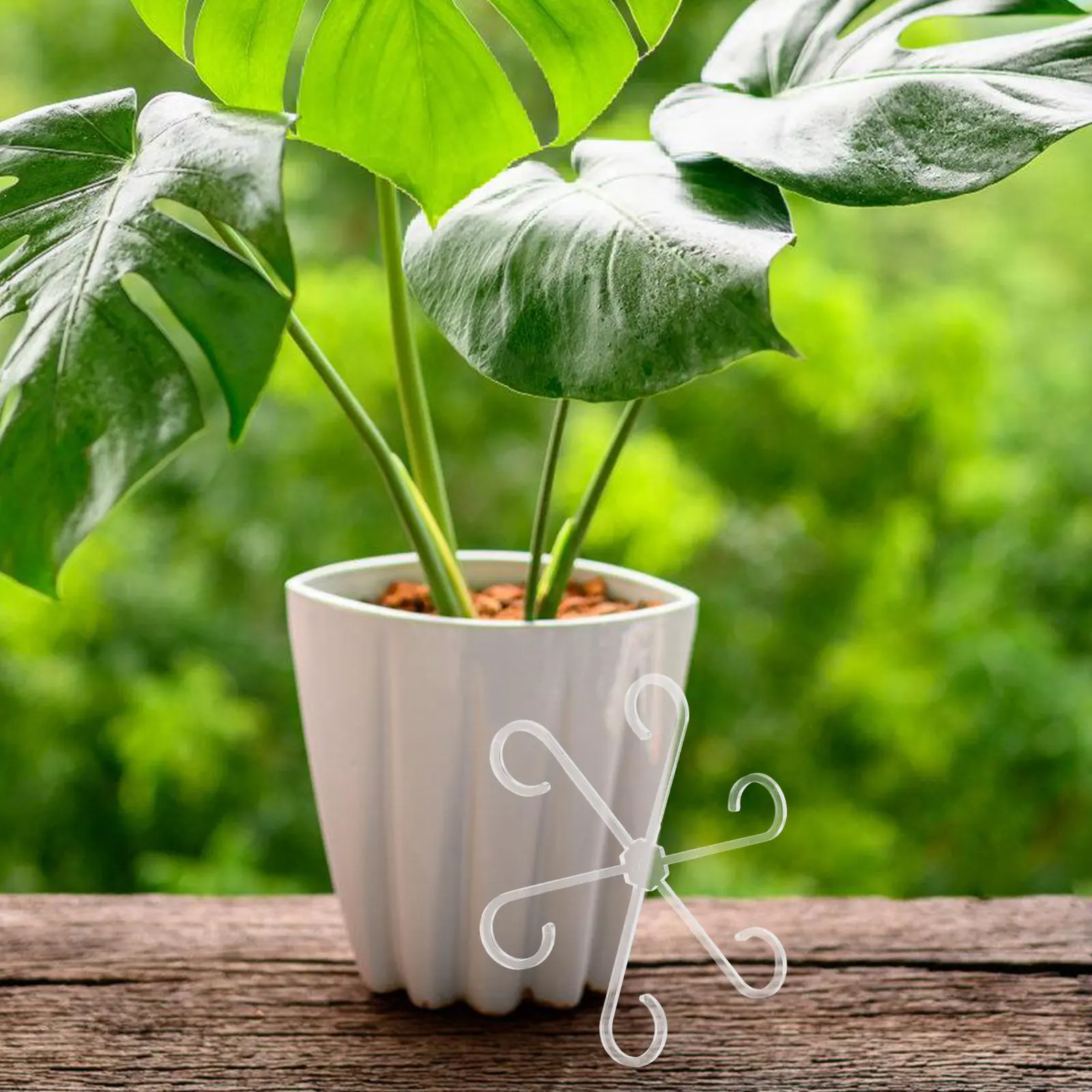 4Pcs Climbing Houseplant Stem Supports Plastic Reusable Plant Trellis for Indoor Outdoor Vines Flowers Stems Growth Direction