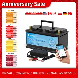 Newest 12V 100Ah 120Ah 200Ah 24V 100Ah LiFePO4 Battery Built-in Bluetooth BMS For RV Campers Golf Cart Off-Road Off-Grid Solar