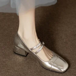 Vintage High Heels Pumps for Women Chunky Silver Single Shoes 2024 New Spring Square Toe Mary Jane Women Buckle Mary Jane Shoes