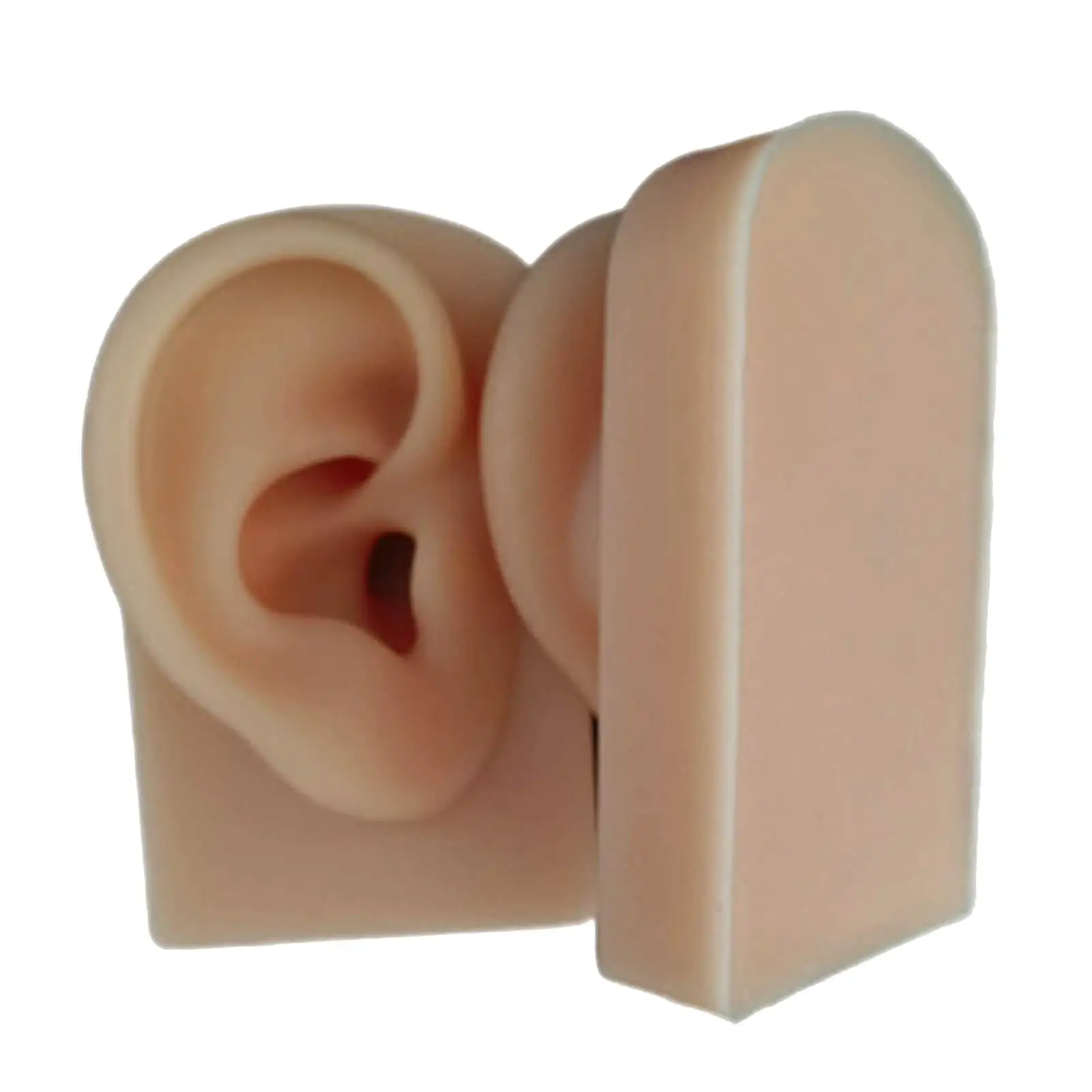 2Pcs Soft Silic Ear Model Flexible Ear for Acupuncture Practice