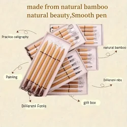 1set Natural Bamboo Pen Dip Pen For Calligraphy Lovers Practice Calligraphy Pen Various nibs Gothic Fonts