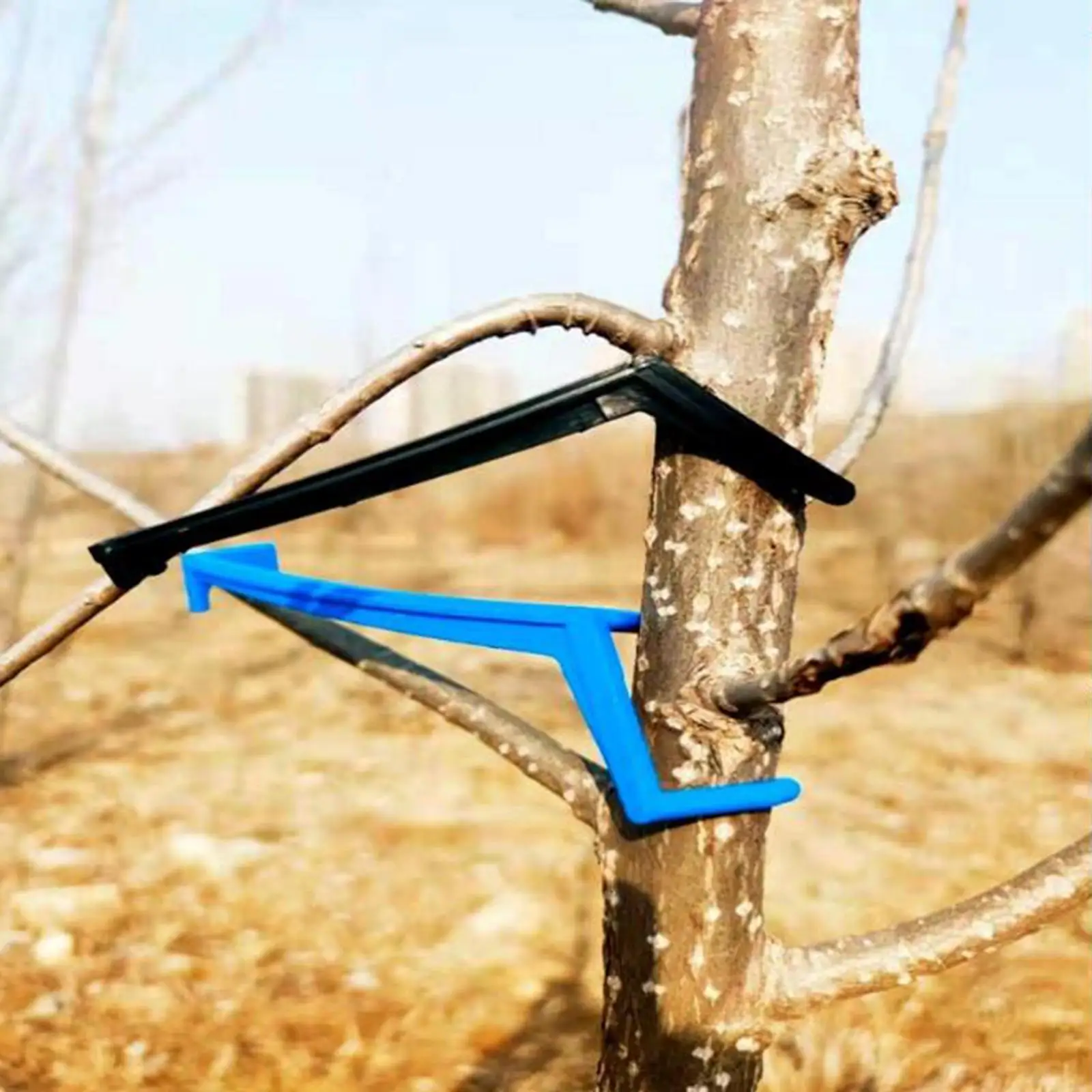 เครื่องดึงต้นไม้ผลไม้สามารถปรับได้เพิ่มการไหลของอากาศสำหรับพืชควบคุม