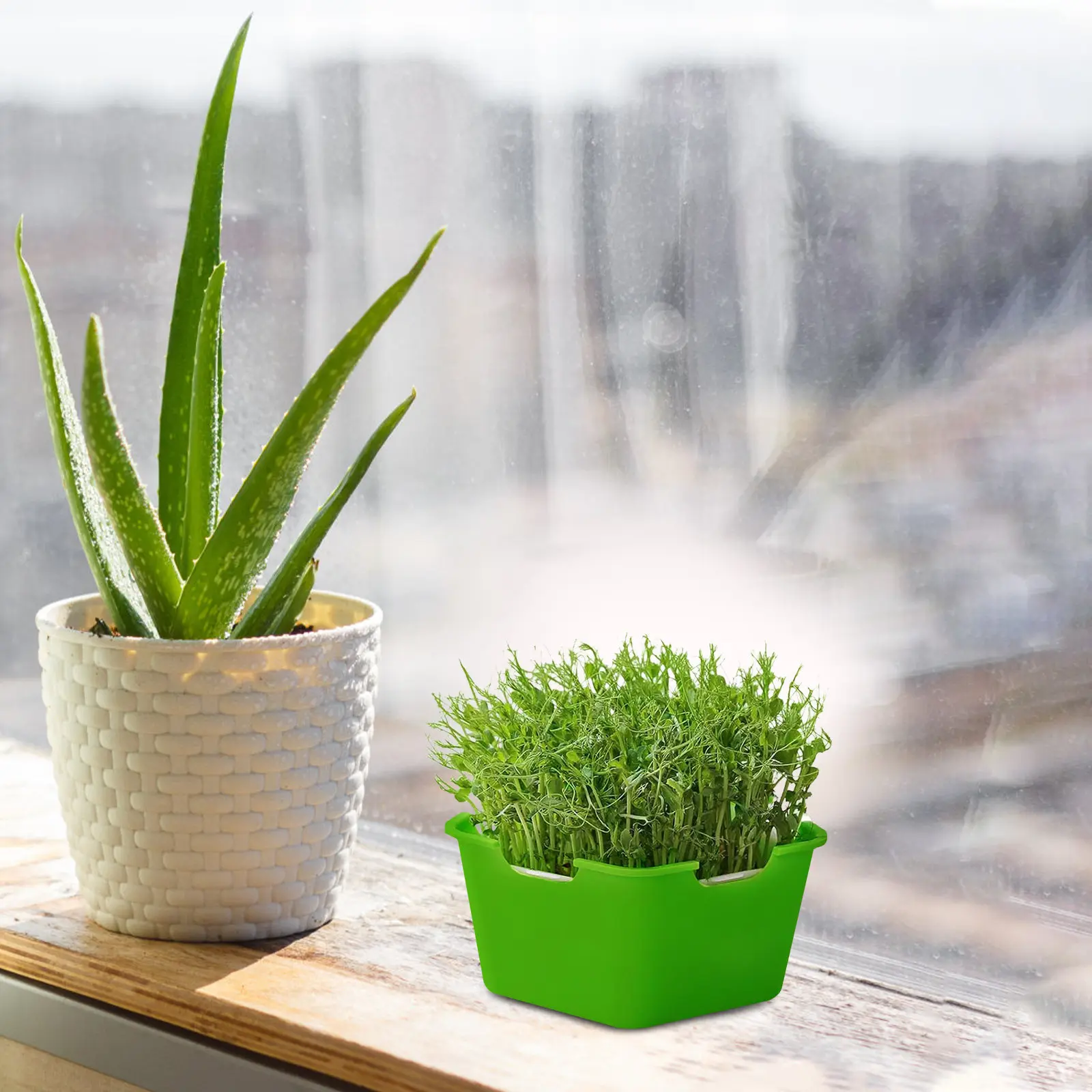 

4 комплекта экономичных лотков для рассады, подходящих для суккулентов, мелких цветов, растений, овощей, широкого спектра применения