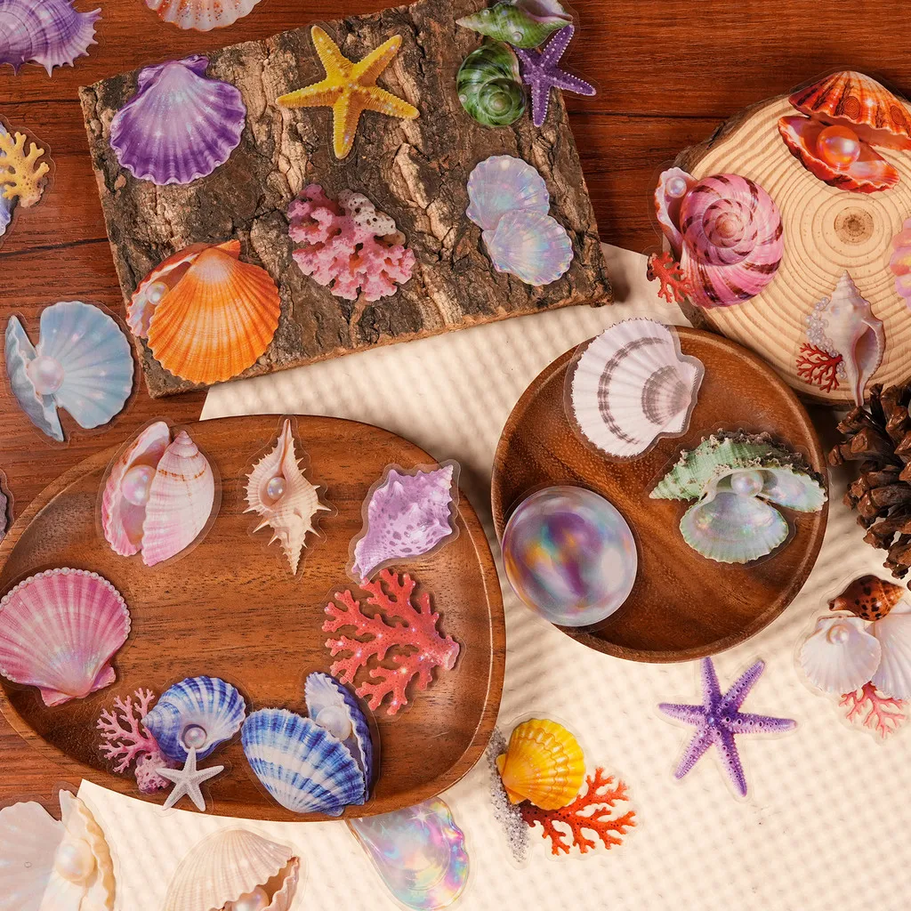 56 Pcs Transparent PET Seashell Stickers - New Exquisite Waterproof Decals for Journals & Water Bottles AnimeWorlds Store
