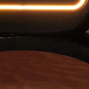 

Professional MYOSLIM EMS Body Shaping Machine, 4 in 1 EMS & RF Body Contouring Device, High Intensity Muscle Stimulator for Weig