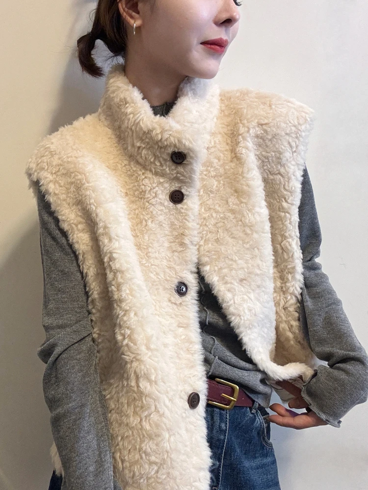 Faionable Lamb Fur Vest Women's Autumn Winter Thiened Svel Jaet Outerwear ort Top Layering Sle Stand Fit P...