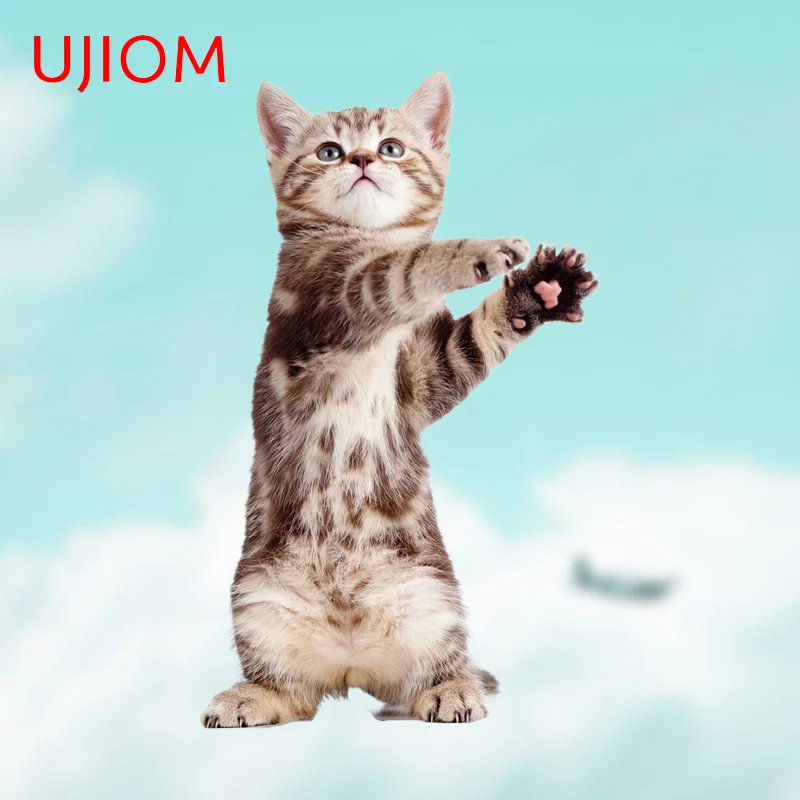 UJIOM Kawaii Standing Cat With Beautiful Eyes Cartoon Wall Stickers Cute Vestibule Decal Interesting Room Wallpapers Decor