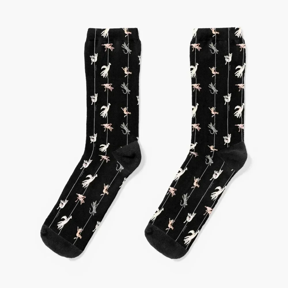 Pole Kittens at Play Socks fashionable Stockings compression gifts Luxury Woman Socks Men's