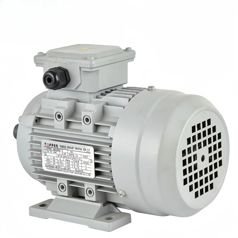 Ms Series Aluminium Housing 3000rpm 380V 4kw Asynchronous Electric 3 Phase Induction Motors