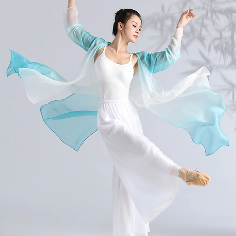 Chinese Folk Dance Long Tops Fairy Elegant Gradient Chiffon Cardigan Hanfu Women Classical Dance Practice Performance Costume