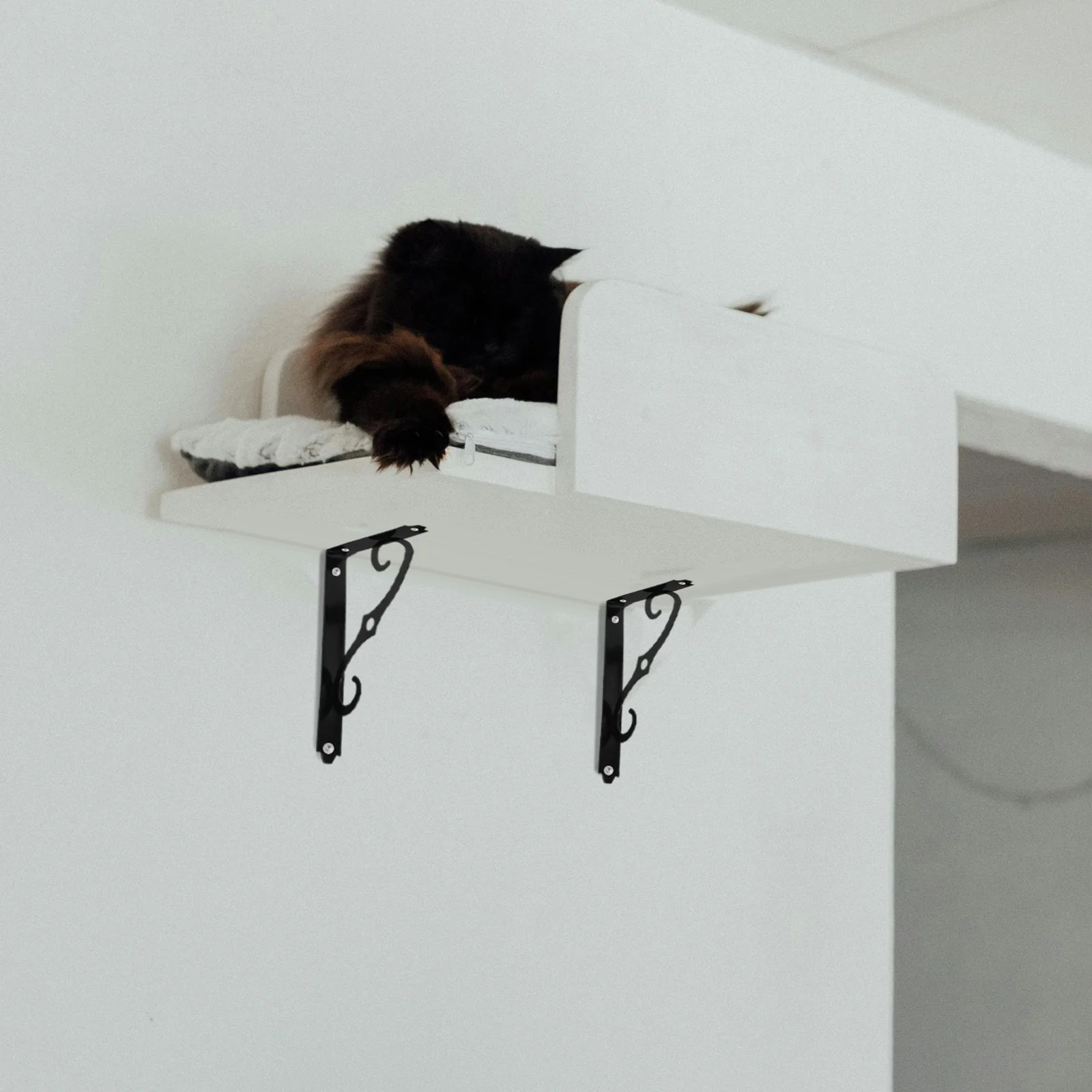 

6Pcs Wall Shelf Brackets Black Matte Iron L Brackets Heavy Duty Shelf Supports Space Saving for Home Office