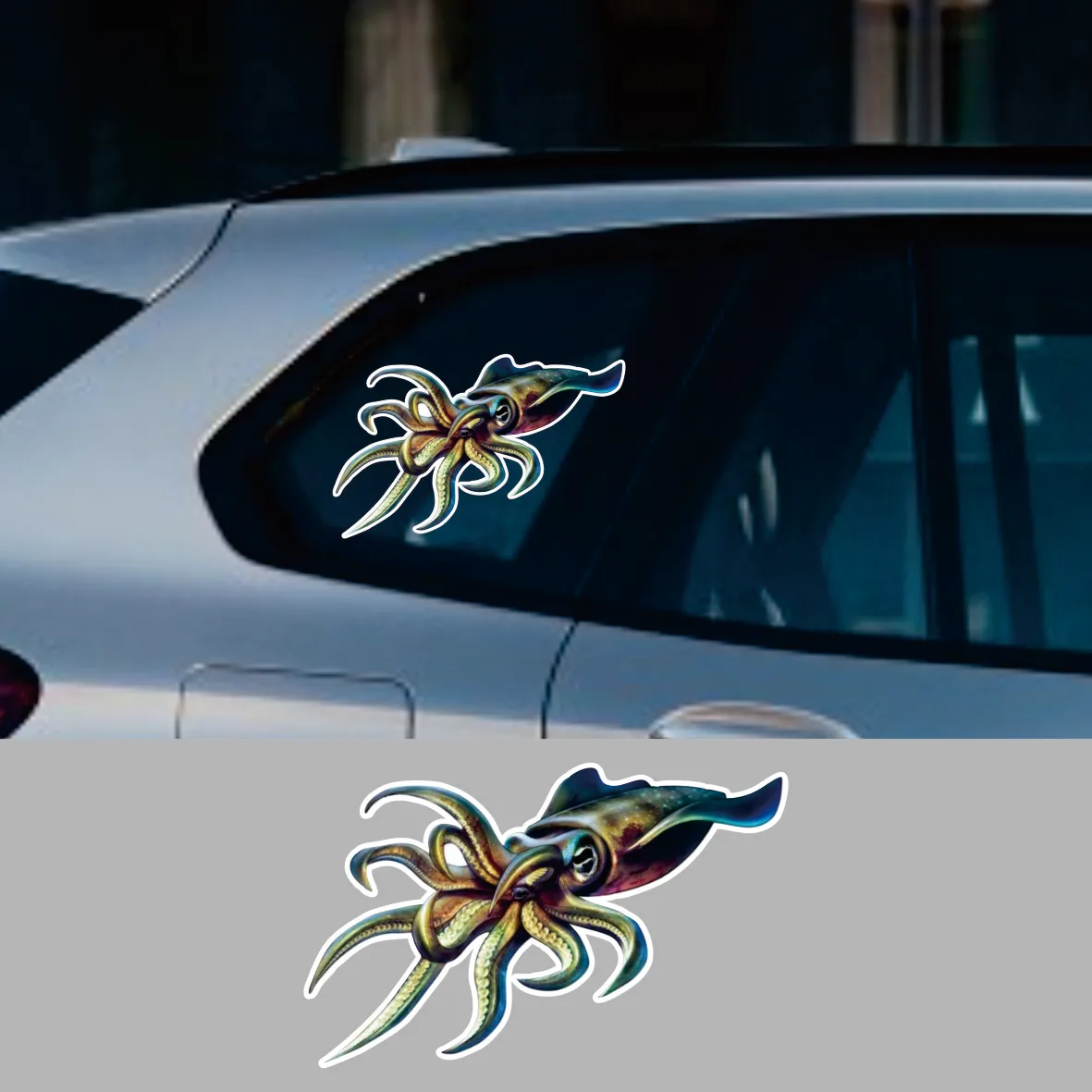

Self-Adhesive Decal CUTTLEFISH Car Sticker Waterproof Auto Decors on Bumper Rear Window Laptop