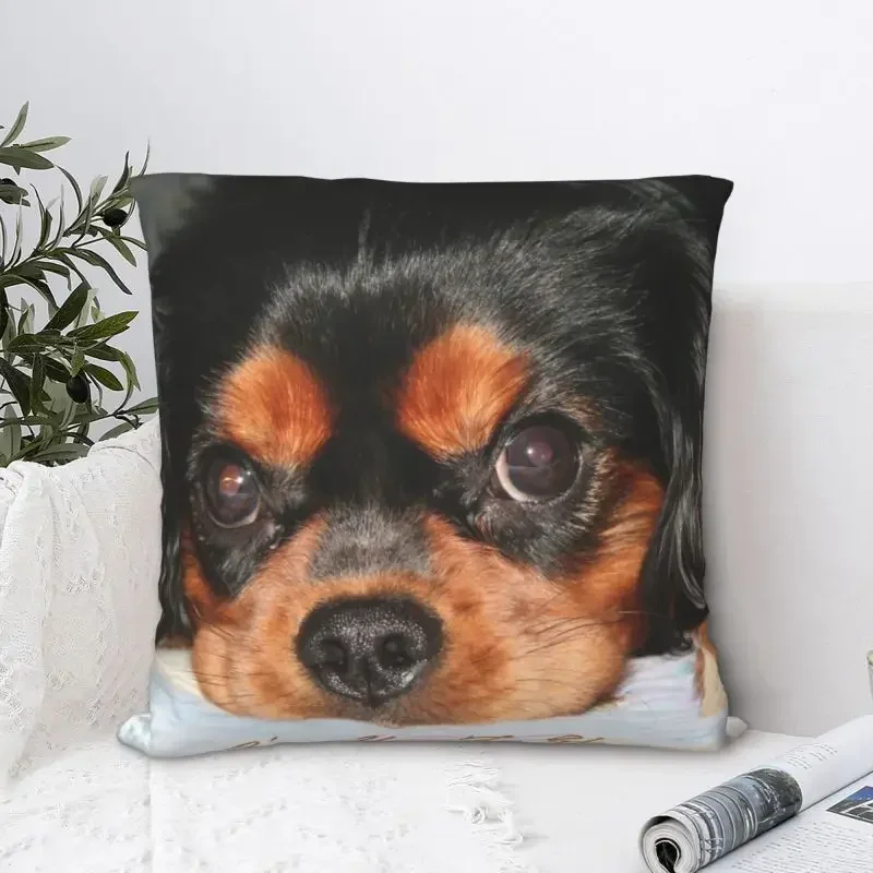 Poszewki na poduszki Kanalier King Charles Spaniel Puppy Sofa Pokój dzienny Zwierzę Pies Kwadratowa poszewka na poduszkę 40x40