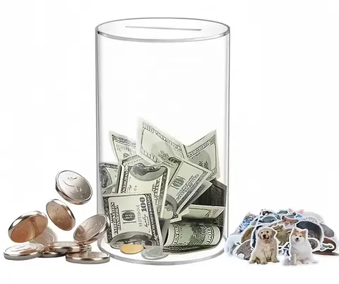Piggy Bank for Adults Kids Acrylic Clear Piggy Bank Coin Bills Bank Money Saving Jar Unopenable Change Jar Money Bank Home Decor