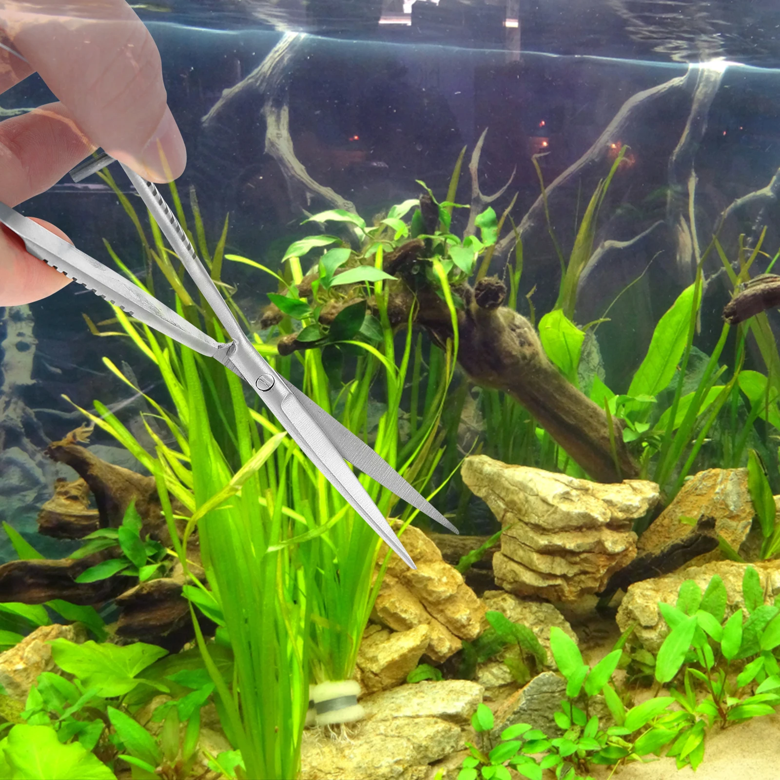 

Stainless Aquarium Scissor Professional Spring Scissor Cleaning Aqua Plant Tool Water Grass Accessory Fish Tank Substrate