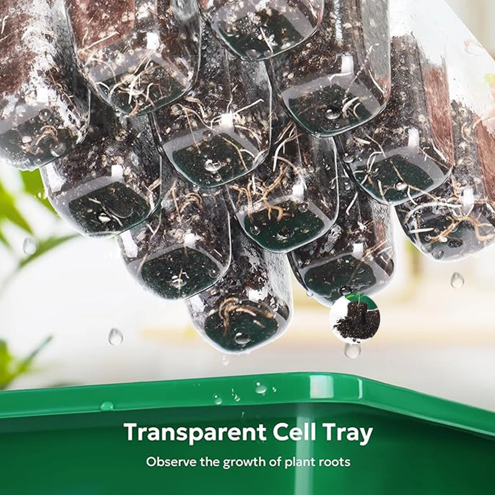 جهاز تناسخ النباتات البلاستيكية مكون من 12 خلية، مجموعة صينية البذور ذات الغطاء العالي، صينية إنبات الشتلات ذات القبة العالية #6