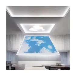 LED 채광창 패널 스마트 인공 하늘, 맑고 깊은 푸른 하늘, 대형 디자인, 2 x 4FT