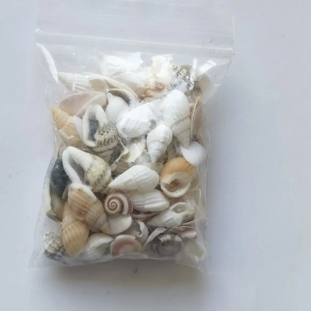 High Quality 0.3~0.6cm Mini Conch Shell Mini Beach Scene Beach Seaside Model Dollhouse Decoration