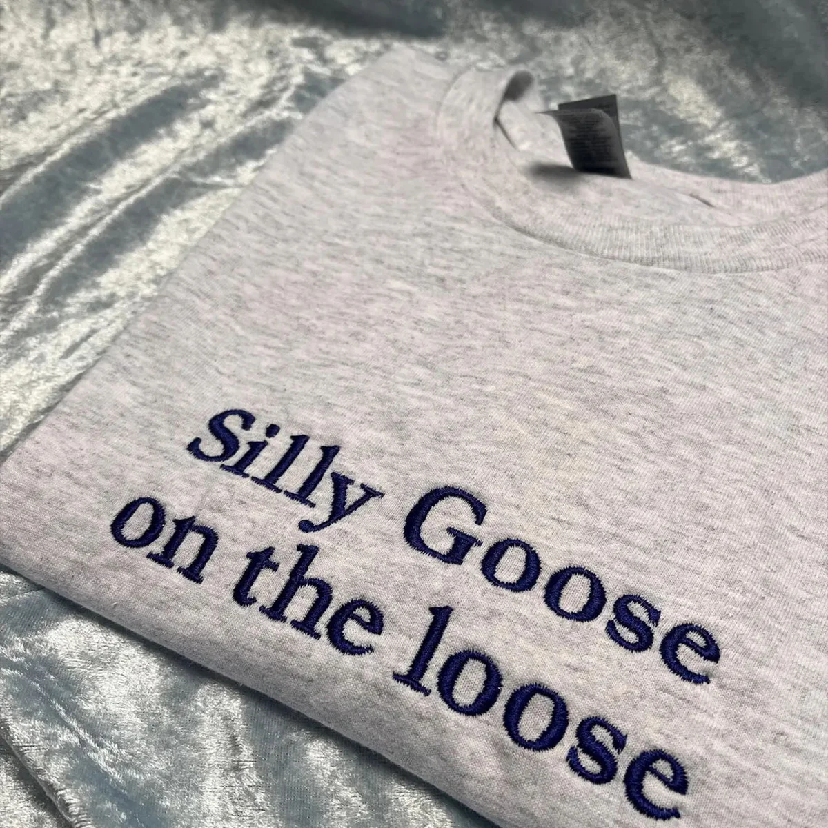Silly Goose On The Loose Letters Embroidered Funny Unisex T Shirts Short Sleeve Loose Cotton Casual Tops Crewneck Tee Shirts