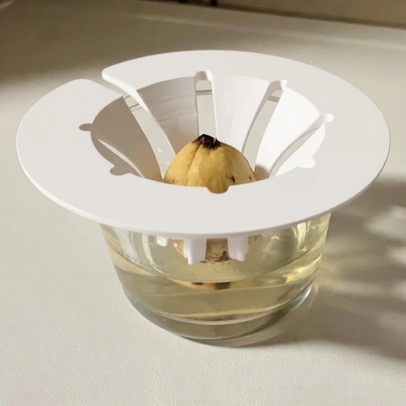 

Plant Seed Hydroponic Grow Kit Lightweight Plastic Hydroponic Stand For 30Mm-40Mm Avocado Seeds Easy Rooting Germination