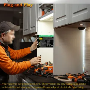 Y & H 700W 600 500 350 300 Solar Grid Tie Micro Inverter MPPT DC26V-46V Photovoltaic Output AC110V-240V Solar House in Network System 8 Main Micro Inverter Sales - №1