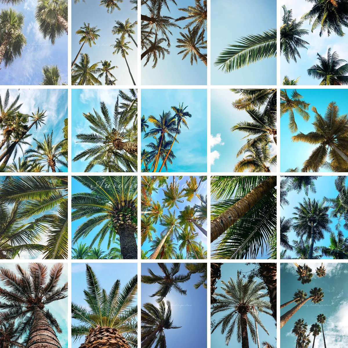 Summer Palm Trees Backdrops Kids Baby Photography Prop Child Adult Decors Vacation Sunshine Coast Photo Backgrounds