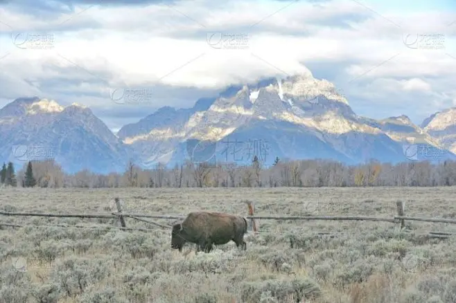 

Комплект из 4 шт. резиновых шин и дисков 125 мм для радиоуправляемых монстр-траков 1/10, с шестигранником 12 мм и нейлоновыми стопорными гайками 4 мм, для Trxs, Himoto, HSP, HPI, Redcat