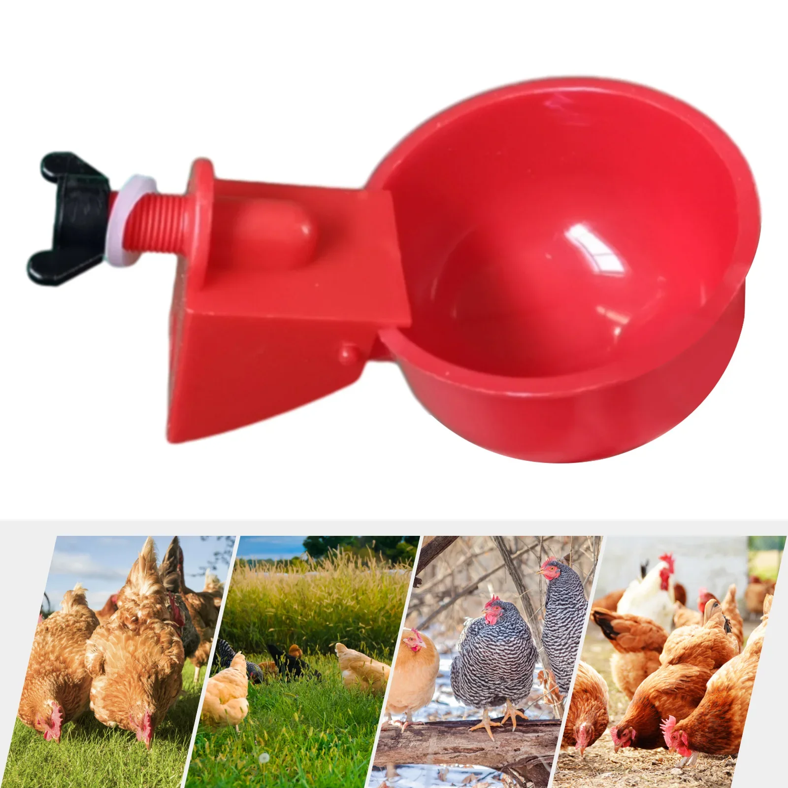 6pcs/set Automatic Chicken Water Cups Poultry Waterer Bowl Chicken Coop hens Feeder Drinker Cups for Rabbits Duck Goose Bird