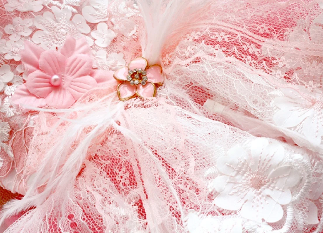 Imagem -05 - Roupa do Cão Artesanal Rosa Cisne Suprimentos para Animais de Estimação Princesa Vestido de Luxo Pluma Rendas Saia Lindo Tutu um Pedaço Poodle Yorkie