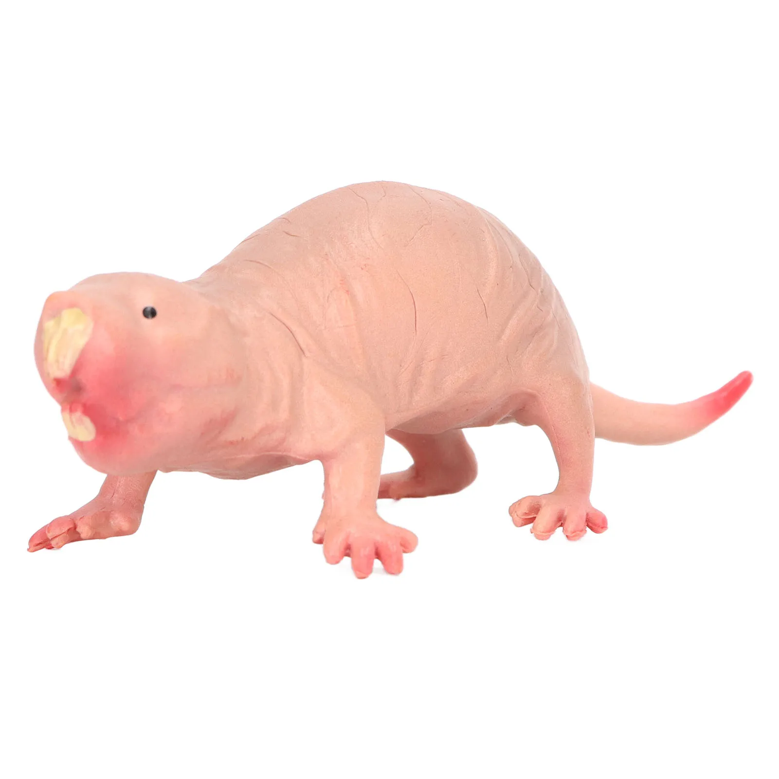 Plastic  Mole-Rat Wildlife Model  Static Figurine for Children Suitable for  Decoration