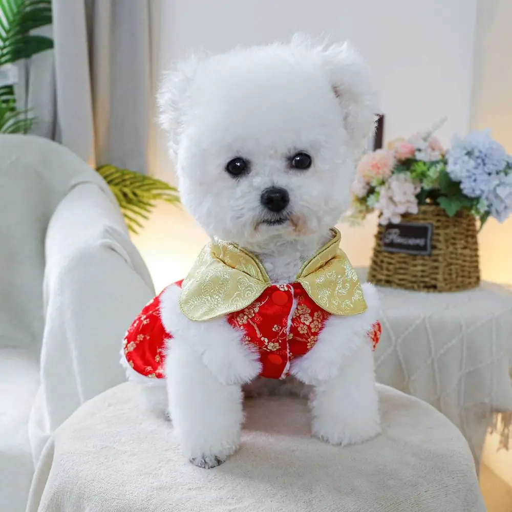 Abito per animali domestici di Capodanno in stile cinese Gonna da principessa per animali domestici in flanella di peluche con nappe Resistente al vento Gilet caldo per gatti Forniture per animali domestici
