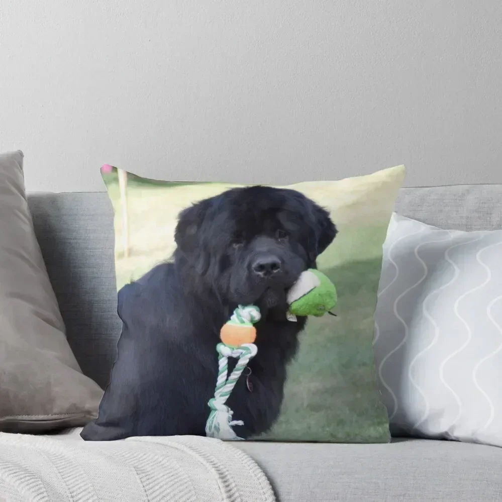 

Newfoundland dog with toy Throw Pillow Christmas Covers christmas decorations 2025 Anime pillow