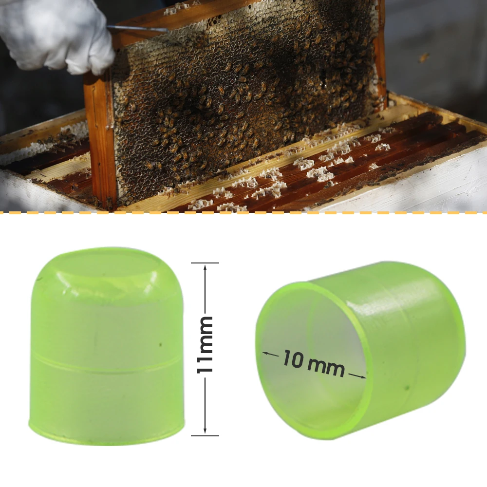 1000Pcs Beekeeping Queen Cell Cups Royal Jelly Cage Green Plastic Hatching Cup Beekeepers Equipment for Outdoor Bee Rearing Tool