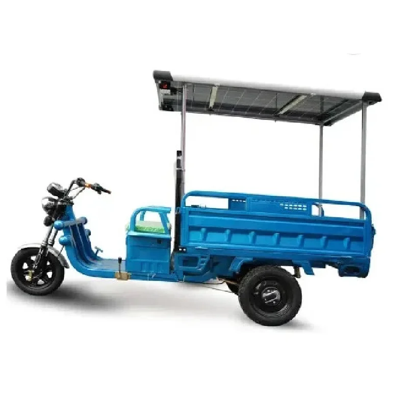 2023년 최고의 안전성과 인기를 자랑하는 60V 1000W 화물용 전기 삼륜차, 최대 적재량, 태양광 발전
