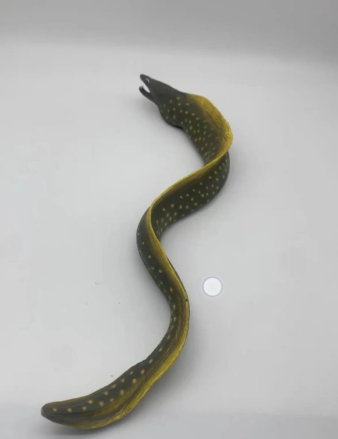 شخصية PVC نموذج محاكاة للحيوانات البحرية Toys Moray eel