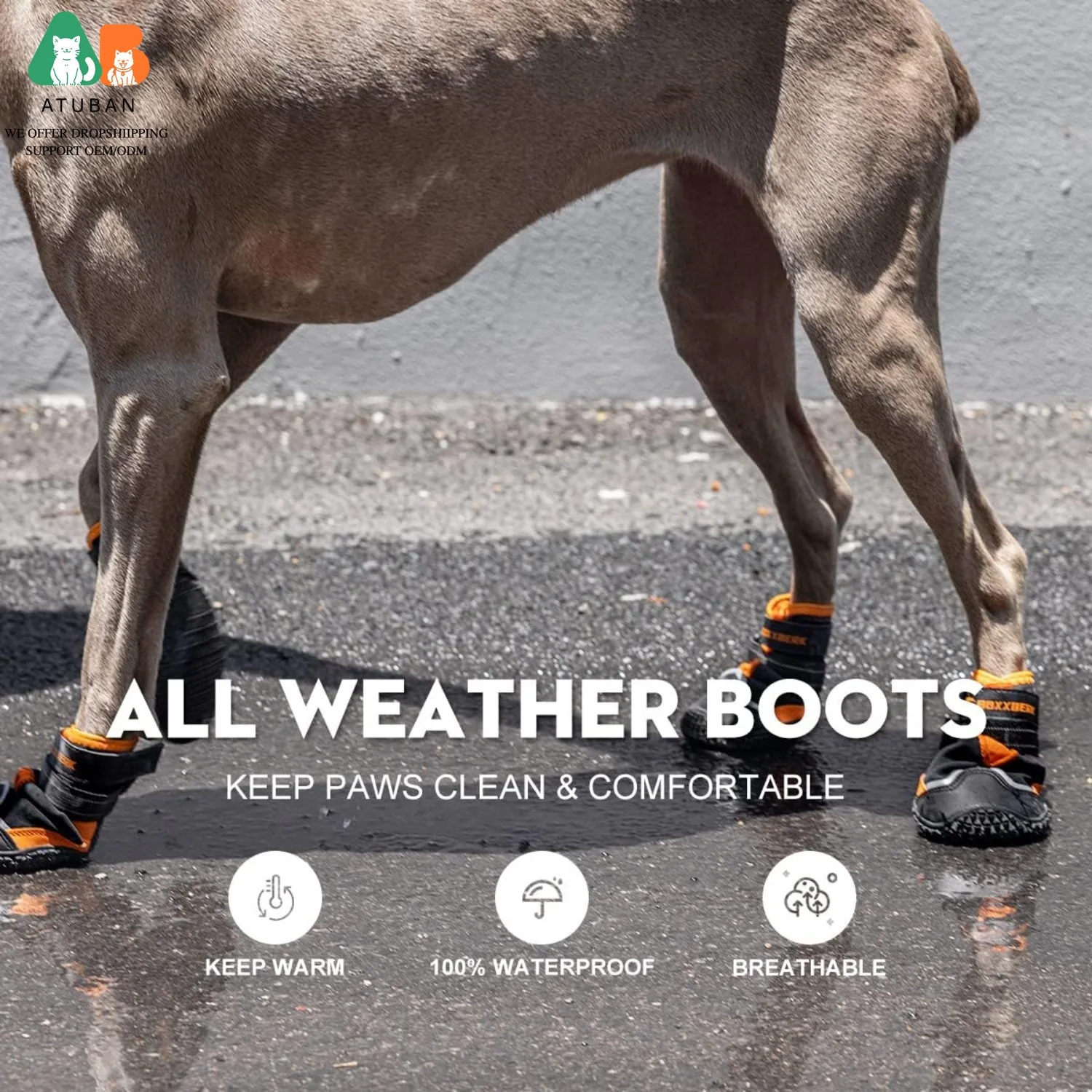 Sepatu Anjing ATUBAN, Sepatu B - Dog Booties Paw Protector ulasan dan harga