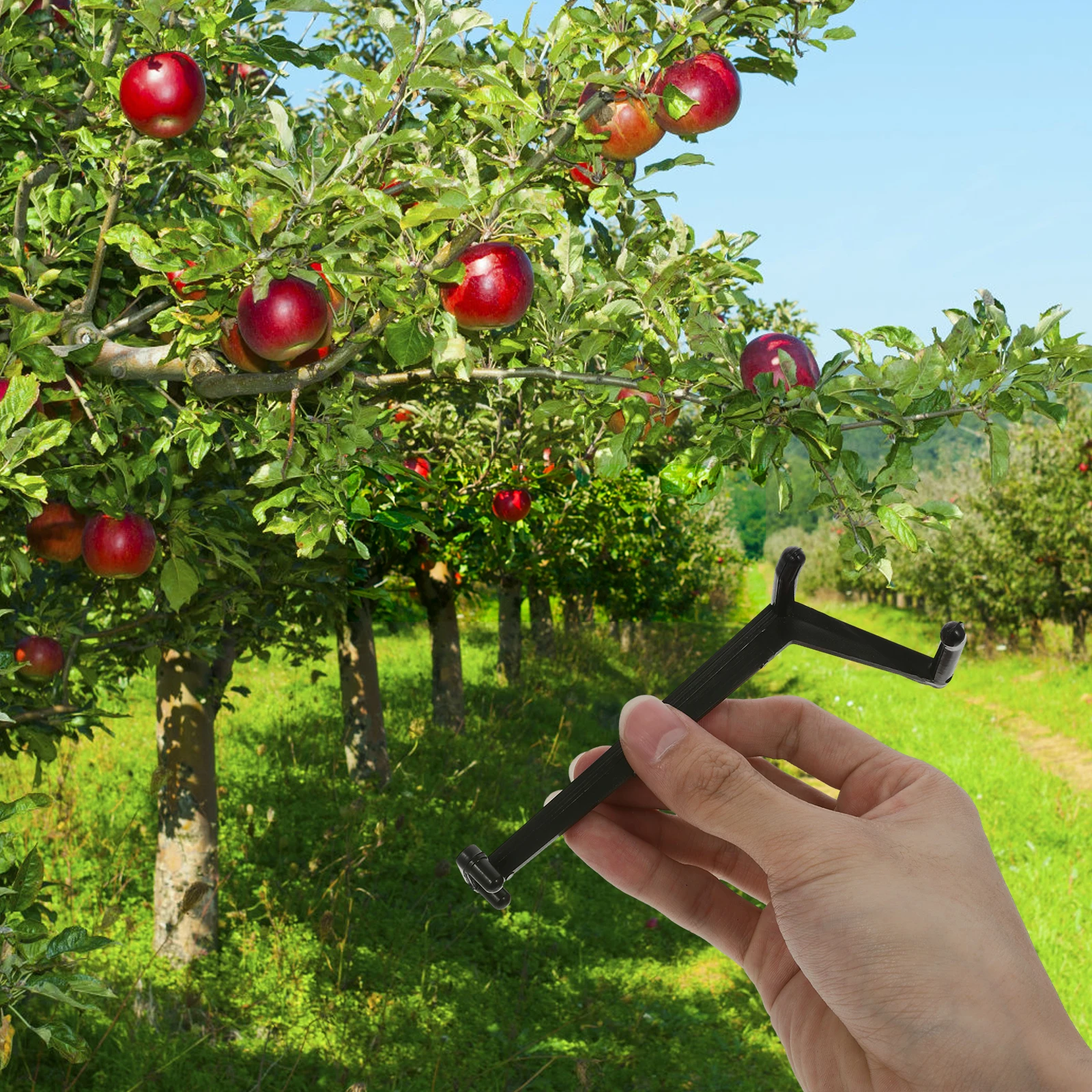 

50pcs Fruit Tree Branch Spreaders Plastic Separator Limb Support Picker Growth Tools Training Fork Expander Angle